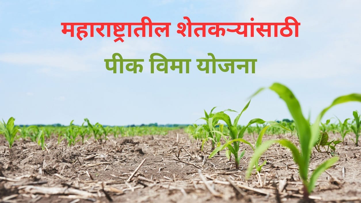 Pik Vima Maharashtra
