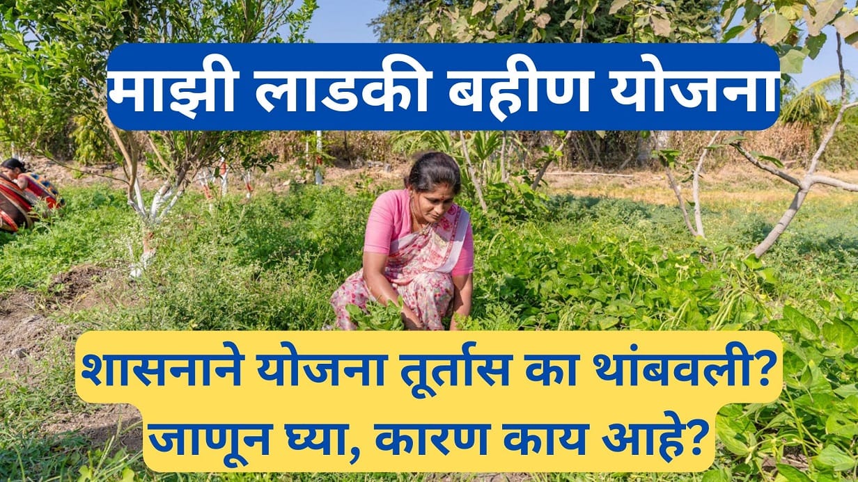 Mazi Ladaki Bahin Yojana updates