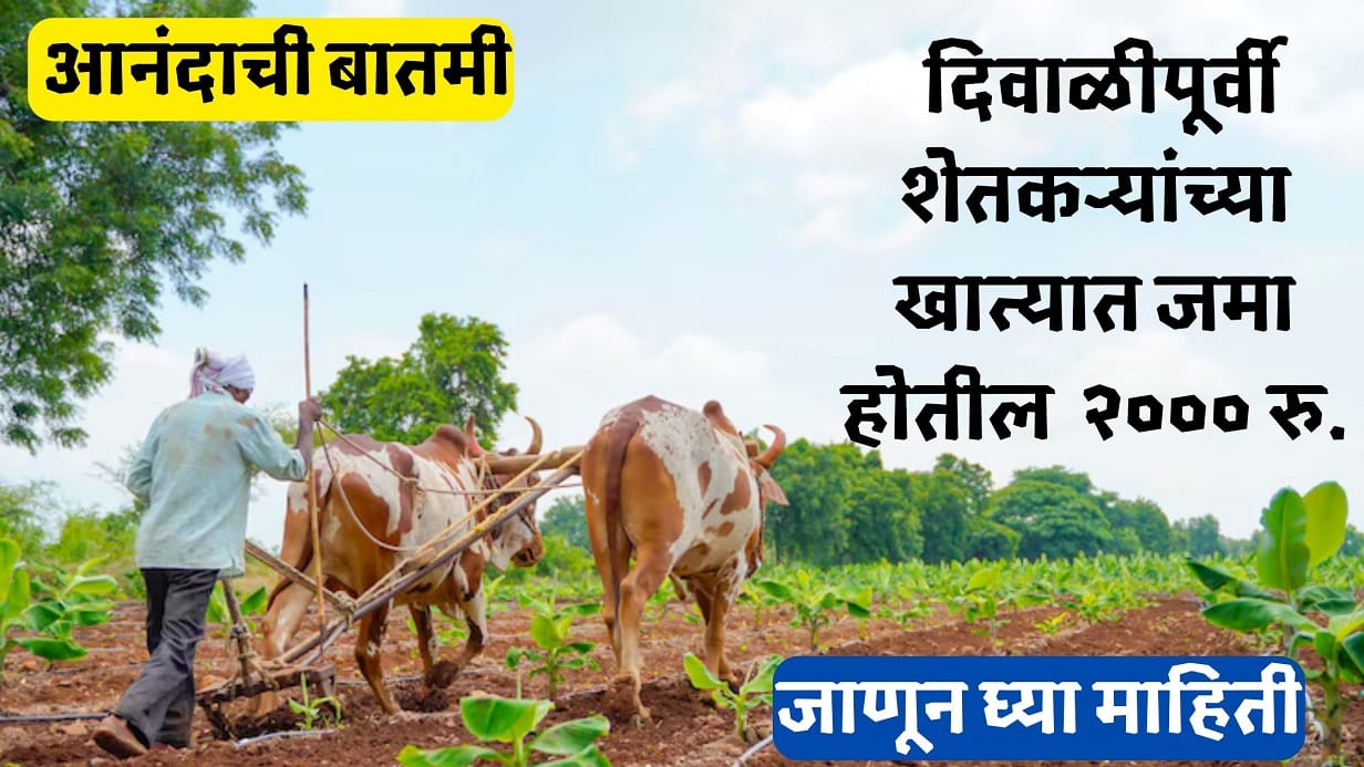 PM Kisan 19th Instalment Date