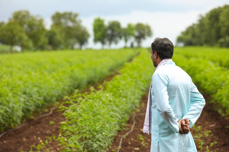 PM Kisan 19th Instalment Date: आनंदाची बातमी, २००० रु. शेतकऱ्यांच्या खात्यात जमा होतील दिवाळीपूर्वी, जाणून घ्या माहिती. 3 PM Kisan 19th Instalment Date