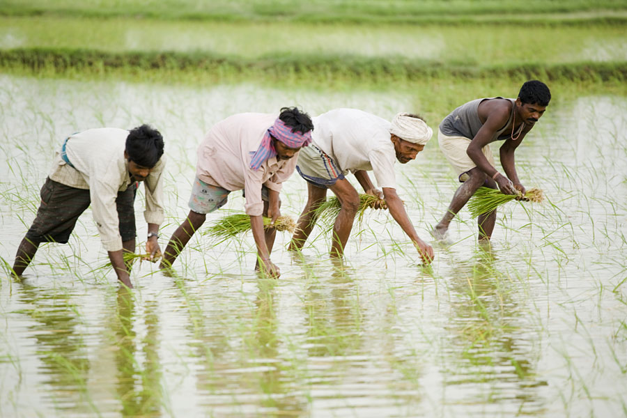 PM Kisan Yojana Update: भारत सरकार 9 कोटी शेतकऱ्यांना देणार एक मोठं गिफ्ट, पीएम किसान योजनेची रक्कम दुप्पट होण्याची शक्यता! इथे वाचा सर्व माहिती. 2 PM Kisan Yojana Update