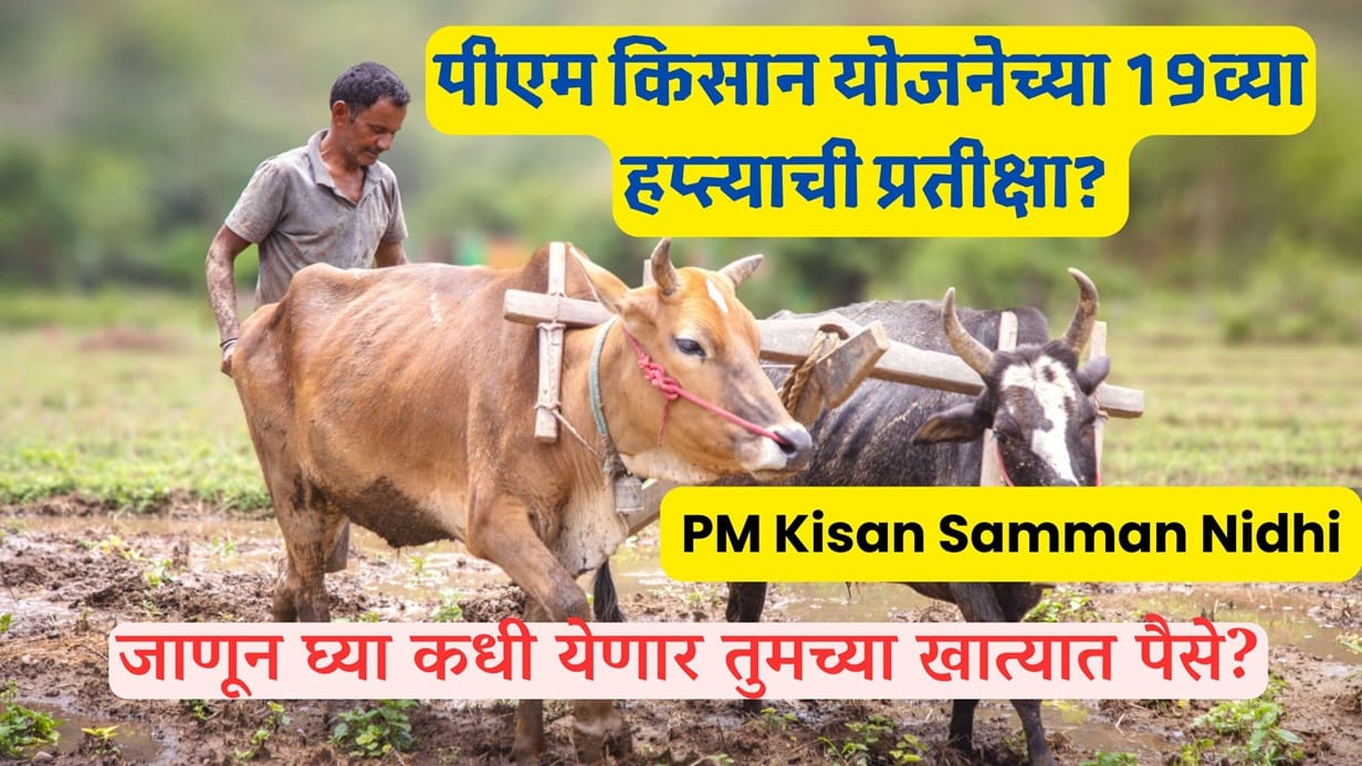 PM Kisan Samman Nidhi