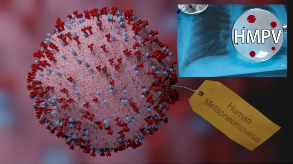 HMPV Virus: काय आहे HMPV व्हायरस? खरंच भारतात त्याचे प्रमाण वाढत आहे? जाणून घ्या सर्व माहिती. 2 HMPV Virus