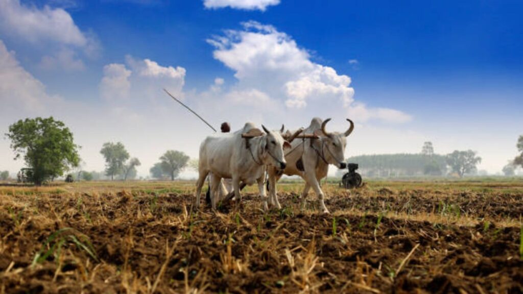 PM Kisan Samman Nidhi: 6000 चा निधी वाढवून होणार 12000 रुपये? बजेटमध्ये महत्वाचा निर्णय घेणार सरकार; जाणून घ्या सर्व माहिती. 2 PM Kisan Samman Nidhi