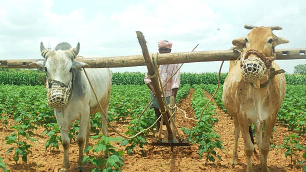PM Kisan Yojana Rules: शेतकऱ्यांसाठी महत्वाची बातमी; आता कुटुंबातील एकाच व्यक्तीला मिळणार PM किसान चा लाभ. 3 PM Kisan Yojana Rules