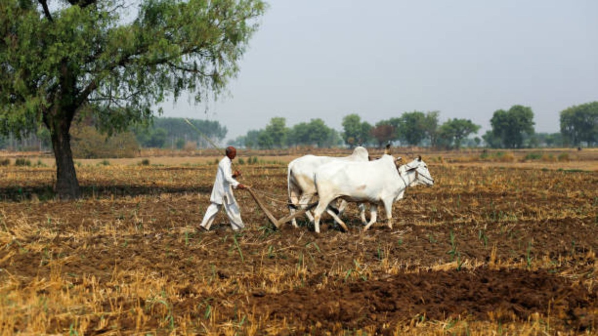PM Kisan Hafta: शेतकऱ्यांसाठी महत्त्वाची बातमी; पीएम किसान 20 व्या आणि 21 व्या हप्त्याची माहिती जाणून घ्या. 3 PM Kisan Hafta