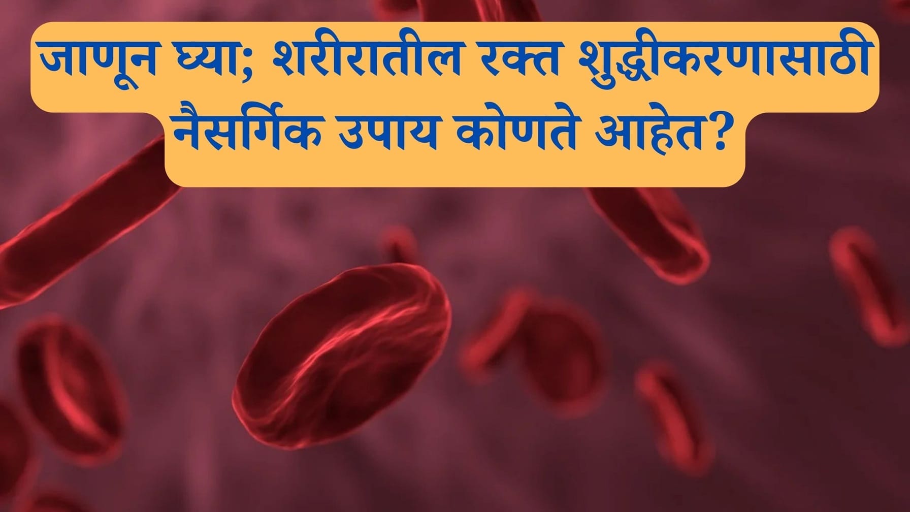 Natural Blood Purifiers