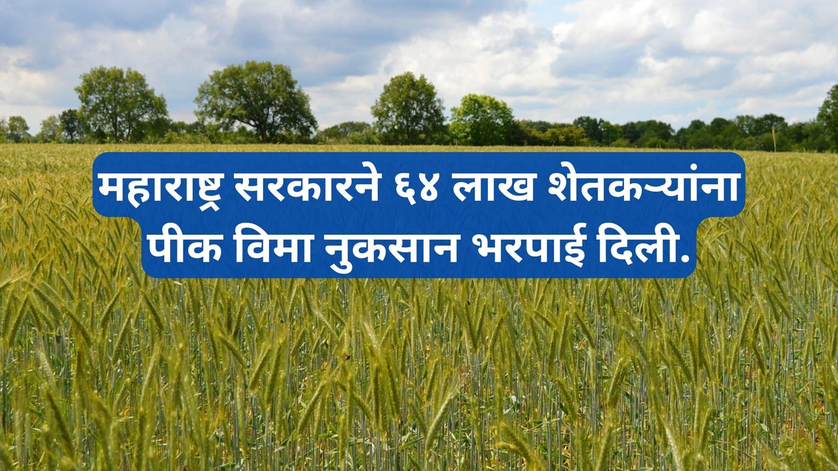 Crop Insurance Maharashtra
