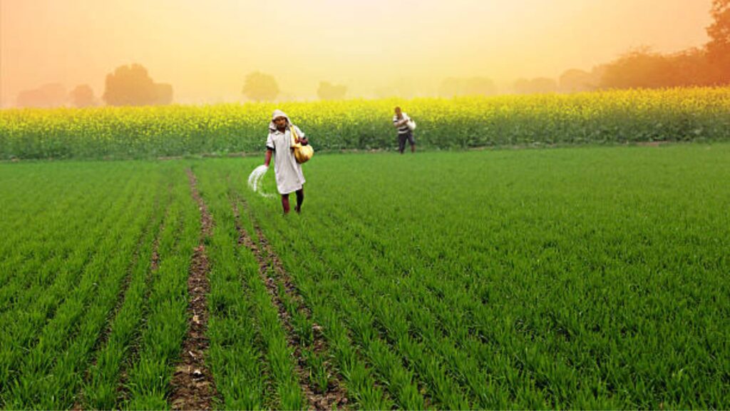 Farmer id Update: महाराष्ट्रातील शेतकऱ्यांसाठी फार्मर आयडी अनिवार्य; जाणून घ्या सर्व माहिती. 4 Farmer id Update