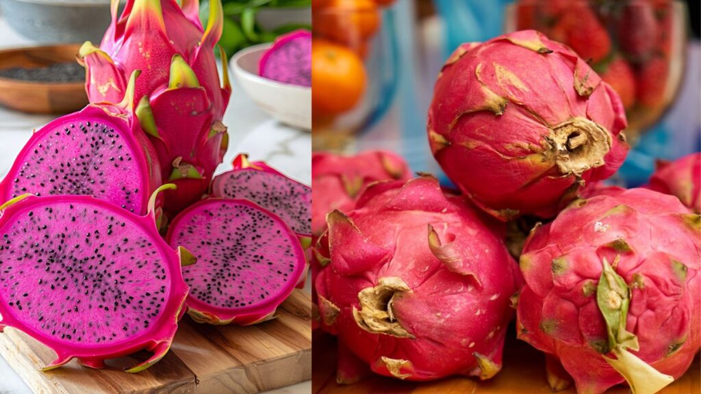 Dragon Fruit Farming: ड्रॅगन फ्रूट शेती; कमी वेळात लाखो रुपये कमवण्याची सुवर्णसंधी; जाणून घ्या सर्व माहिती. 4 Dragon Fruit Farming