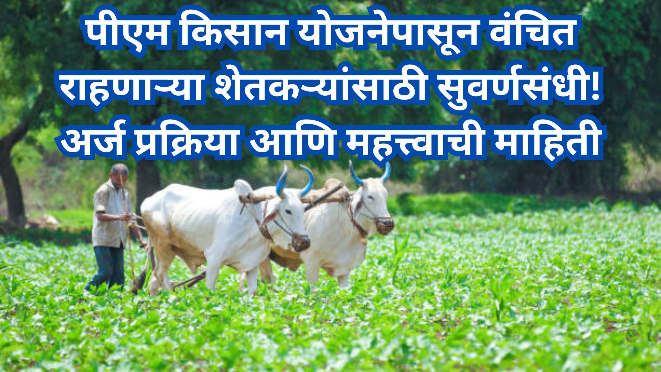 PM Kisan scheme update