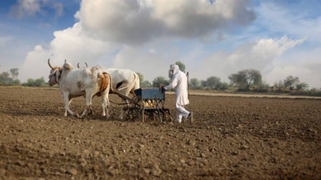 PM Kisan scheme update: पीएम किसान योजनेपासून वंचित राहणाऱ्या शेतकऱ्यांसाठी सुवर्णसंधी! अर्ज प्रक्रिया आणि महत्त्वाची माहिती 2 PM Kisan scheme update