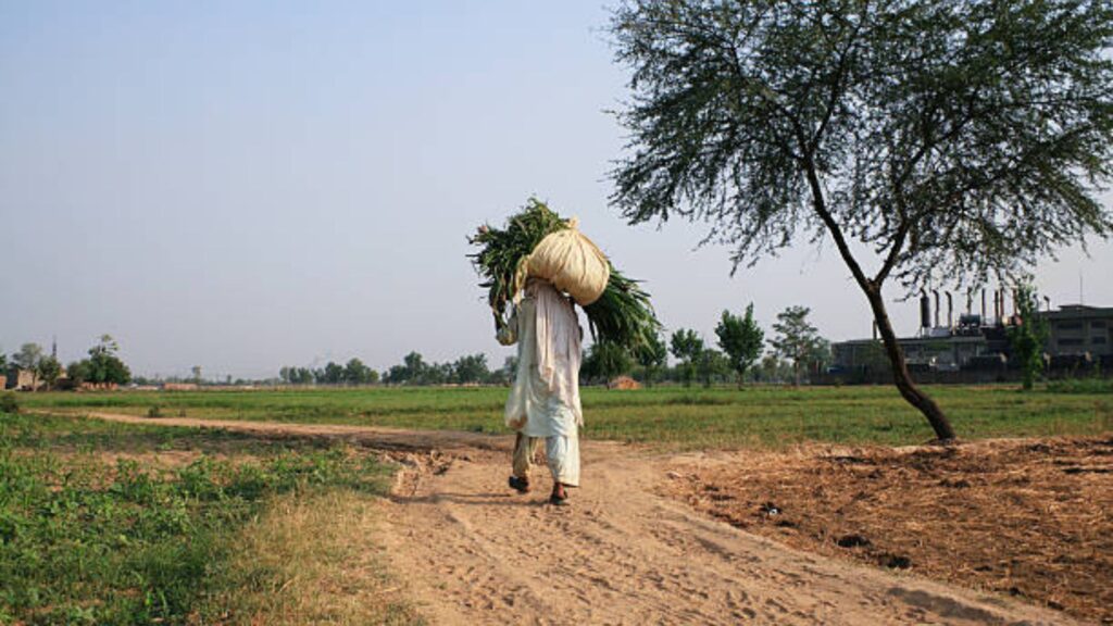 Panand rasta: शेतात जायला रस्ता नाही? चिंता नको! कायदेशीर मार्गाने मिळवा हक्काचा रस्ता, जाणून घ्या अधिक माहिती. 2 Panand rasta