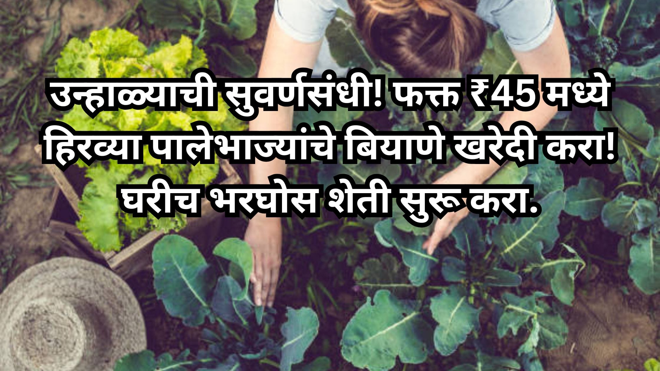 Vegetable farming at home