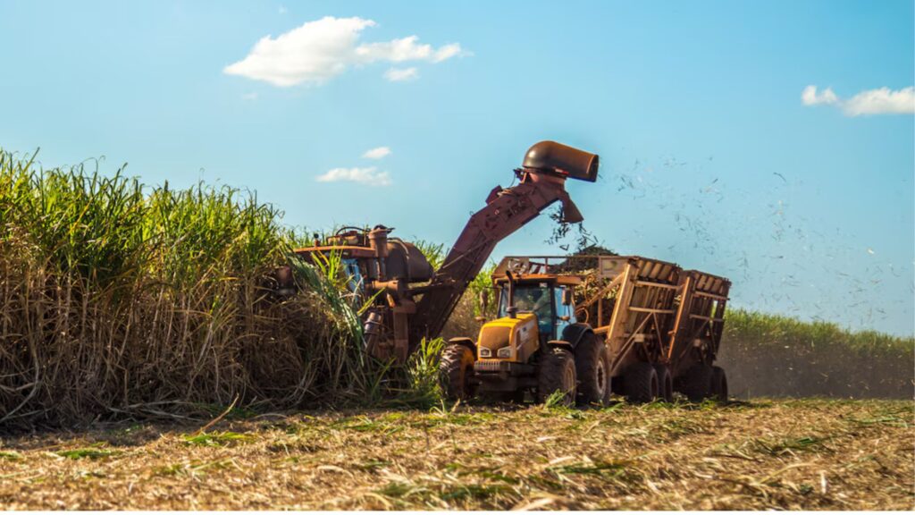 Sugarcane crushing season: महाराष्ट्रातील उस गाळप हंगाम संपला: साखर उत्पादनात घट, कोल्हापूरने राखली आघाडी. 2 Sugarcane crushing season
