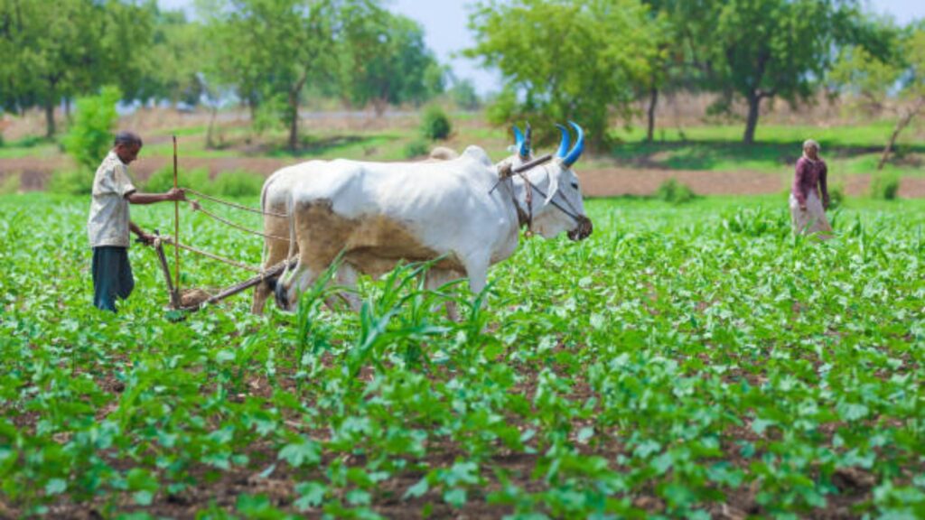 PM Kisan 20th Installment: पीएम किसान 20 वा हप्ता जून मध्ये कधी येणार! जाणून घ्या, पात्रता, e-KYC, अर्ज प्रक्रिया. 2 PM Kisan 20th Installment