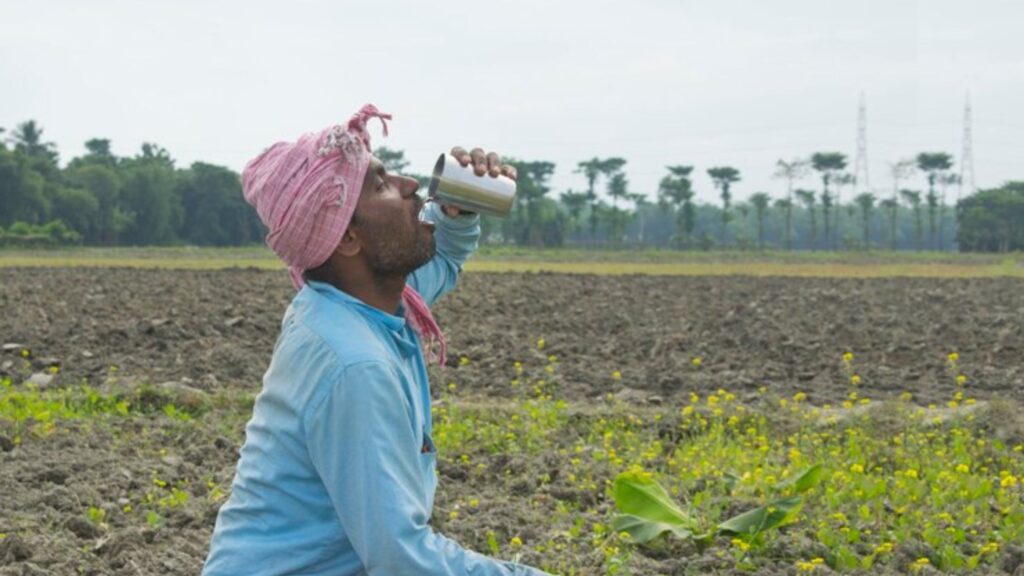 Heat stroke in marathi: उन्हाच्या झळा वाढल्या! शेतकरी बांधवांनी उष्माघात टाळण्यासाठी ‘या’ उपायांचा अवलंब करा, जाणून घ्या काय उपाय आहेत. 3 Heat stroke in marathi