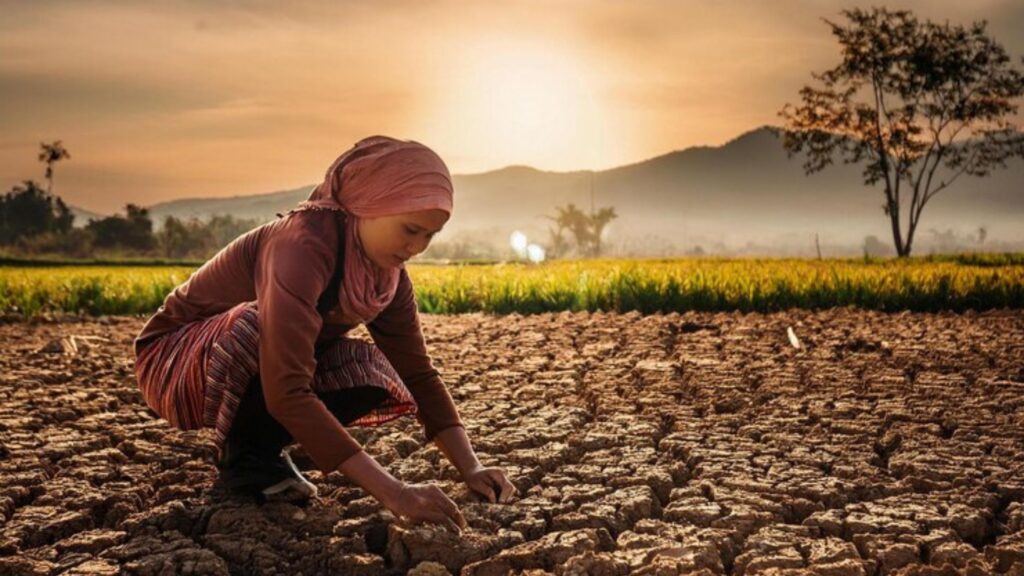 Heat stroke in marathi: उन्हाच्या झळा वाढल्या! शेतकरी बांधवांनी उष्माघात टाळण्यासाठी ‘या’ उपायांचा अवलंब करा, जाणून घ्या काय उपाय आहेत. 2 Heat stroke in marathi