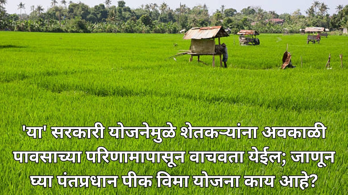 Fasal bima yojana maharashtra