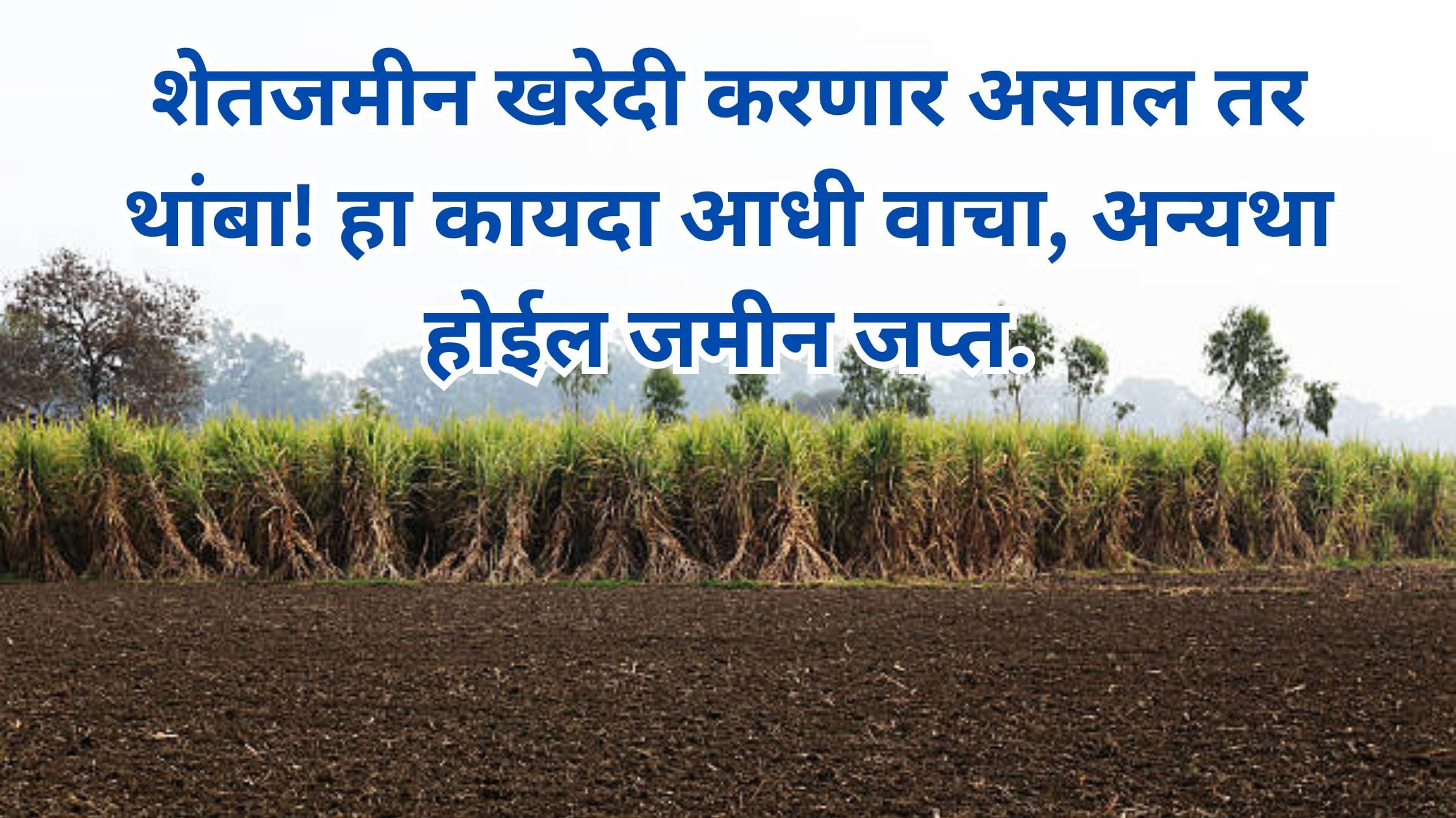 Maharashtra agricultural land ceiling act 1961
