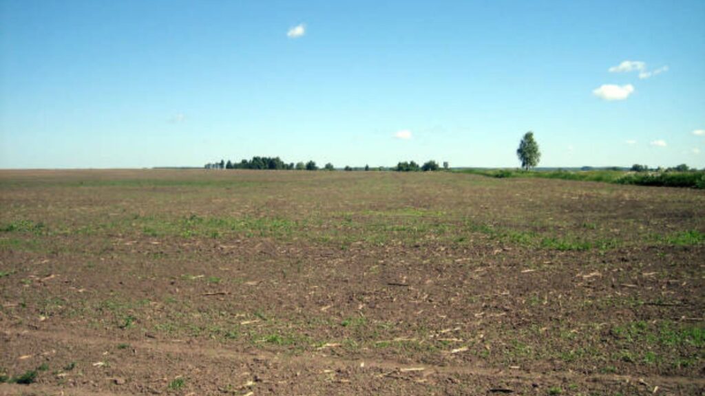 Maharashtra agricultural land ceiling act 1961: शेतजमीन खरेदी करणार असाल तर थांबा! हा कायदा आधी वाचा, अन्यथा होईल जमीन जप्त. 2 Maharashtra agricultural land ceiling act 1961