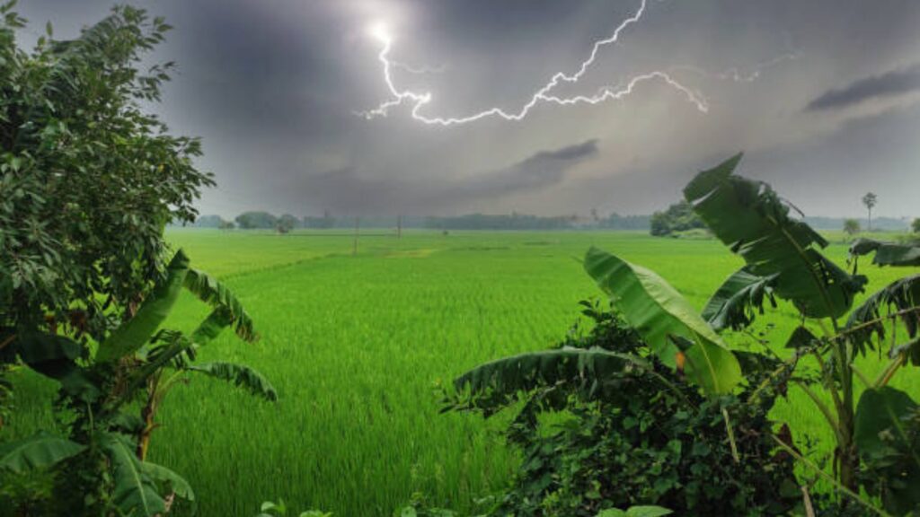 Maharashtra weather today: राज्यात मेघगर्जणेसह गारपिटी पावसाची शक्यता पण उष्णतेचा कहर वाढत चालला. 2 Maharashtra weather today