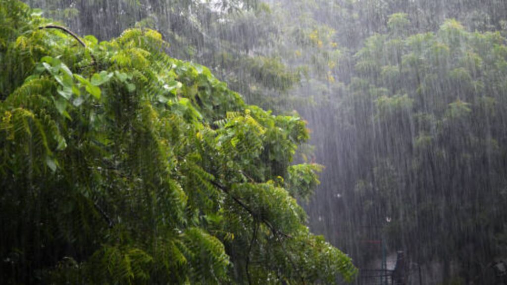 Rain alert in Maharashtra: मान्सून केरळमध्ये दोन दिवसांत दाखल होण्याची शक्यता; हवामान विभागाचा अंदाज काय आहे जाणून घ्या. 3 Rain alert in Maharashtra