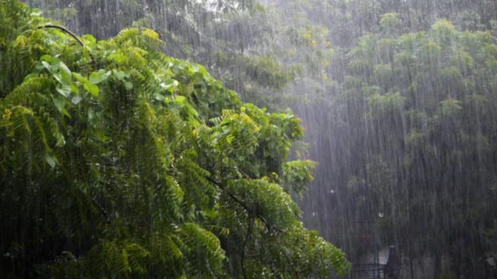Rain alert in Maharashtra: मान्सून केरळमध्ये दोन दिवसांत दाखल होण्याची शक्यता; हवामान विभागाचा अंदाज काय आहे जाणून घ्या. 3 Rain alert in Maharashtra