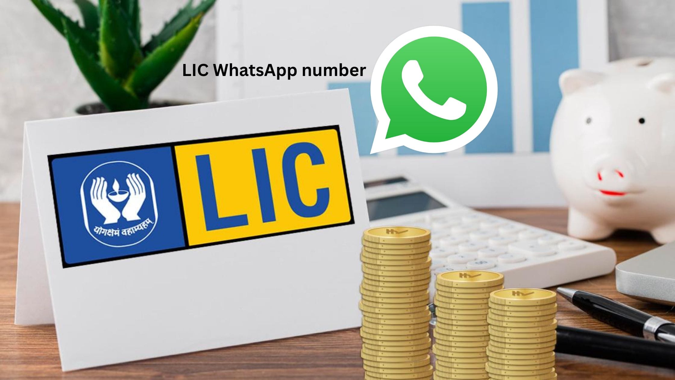 LIC WhatsApp number