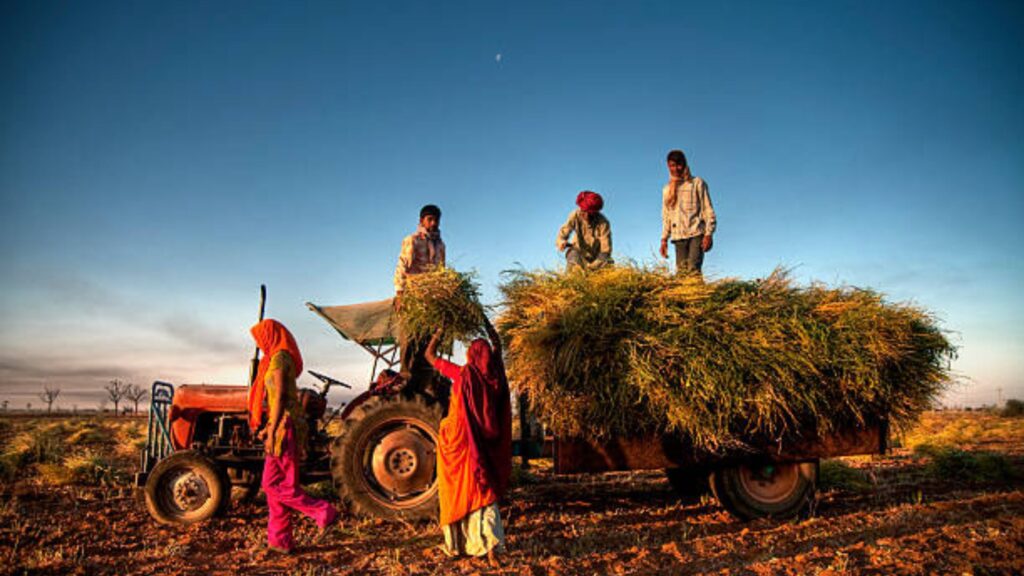 PM Kisan Yojana Status: पी एम किसान खाते चुकून बंद झालं? आता ‘Voluntary Surrender Revocation’ ने पुन्हा सुरू करा! जाणून घ्या सर्व माहिती. 3 PM Kisan Yojana Status