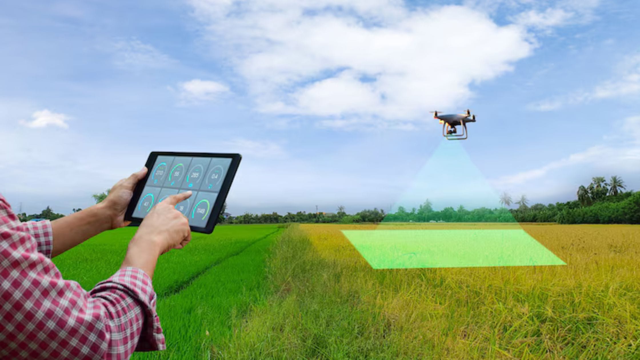 Drone land survey