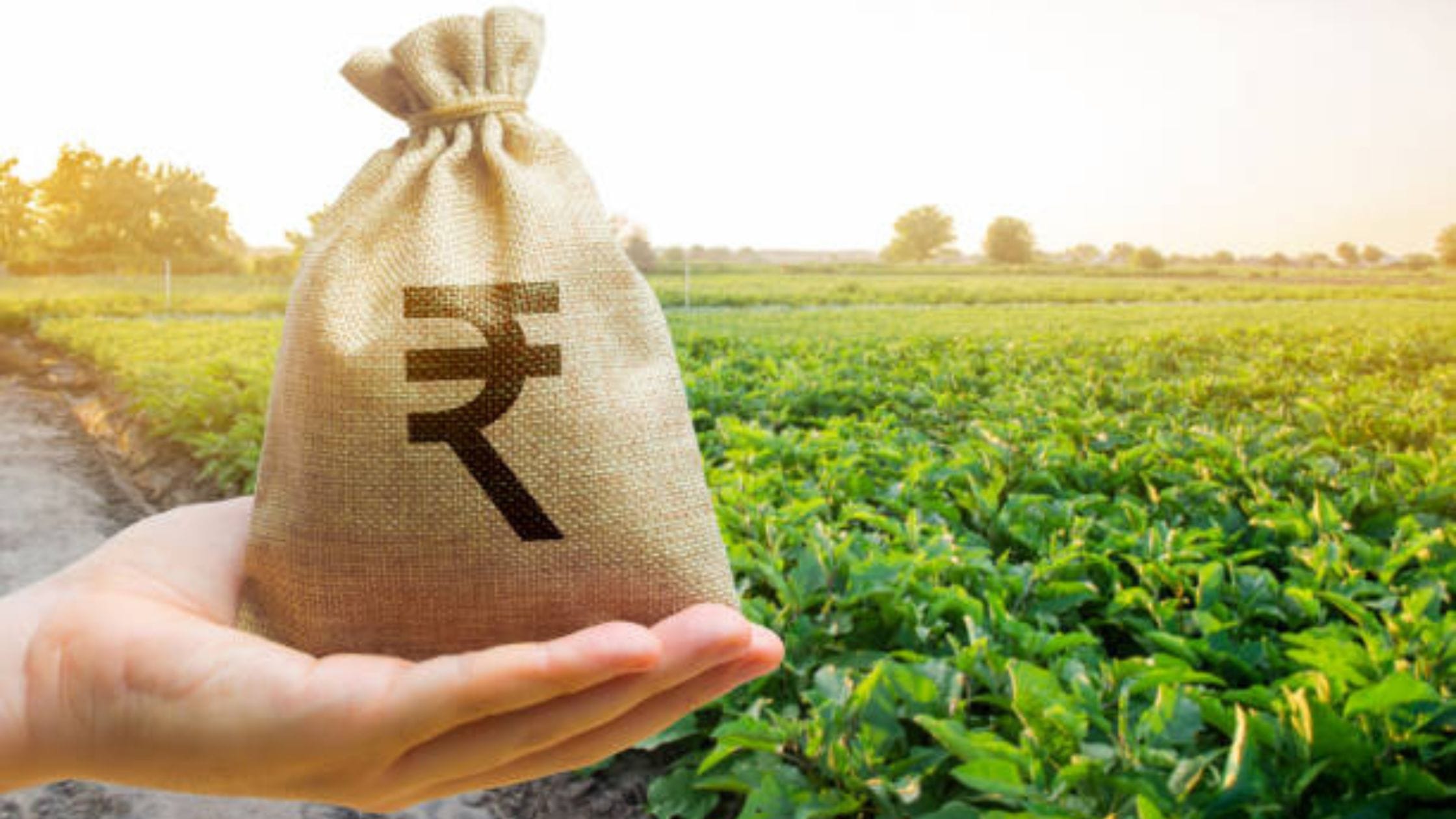 Crop Loan Maharashtra