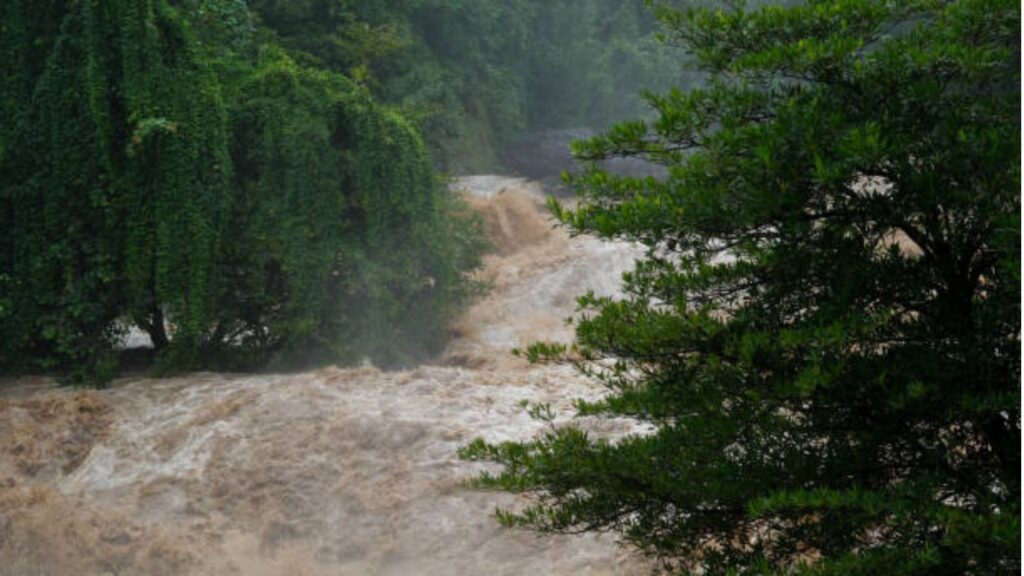 Maharashtra Rain Alerts: पुणे-मुंबईसह अनेक जिल्ह्यांमध्ये मुसळधार पावसाचा धोका, IMD ने दिला यलो आणि ऑरेंज अलर्ट, जाणून घ्या तुमच्या जिल्ह्यातील स्थिती. 3 Maharashtra Rain Alerts