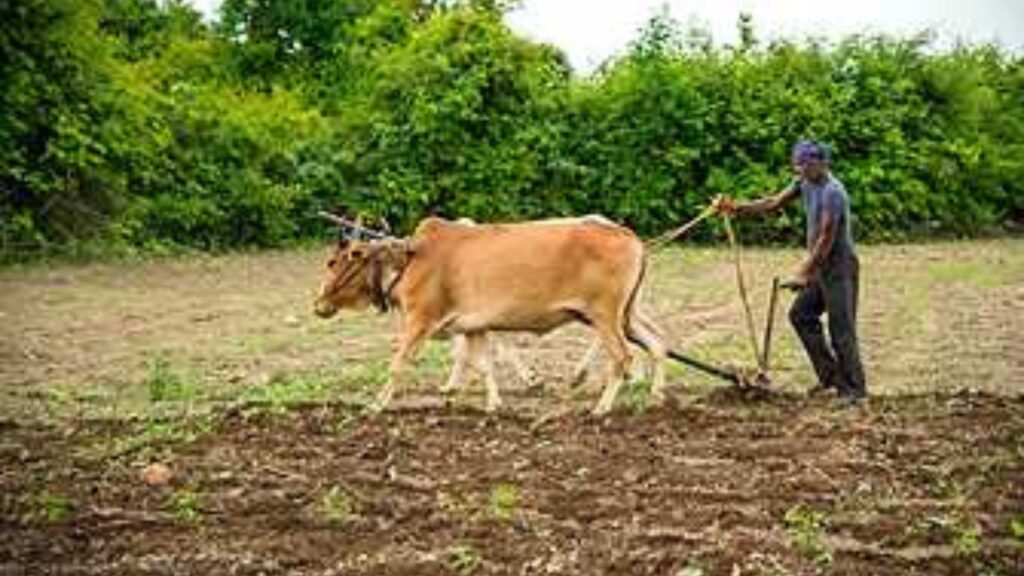 PM Kisan Yojana 20th Installment: पीएम किसान चे पैसे या आठवड्यात खात्यावरती येतील का? 20व्या हप्त्याची प्रतीक्षा केव्हा संपेल? जाणून घ्या संपूर्ण माहिती. 2 PM Kisan Yojana 20th Installment