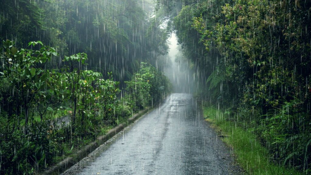 Maharashtra Rain Alert: पुढील 24 तास अत्यंत महत्वाचे! महाराष्ट्रात मुसळधार पावसाचा इशारा; 'या' जिल्ह्यांना आहेत रेड आणि ऑरेंज अलर्ट. 3 Maharashtra Rain Alert