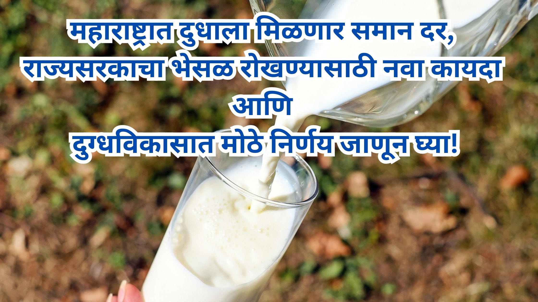 Dudh Dar News
