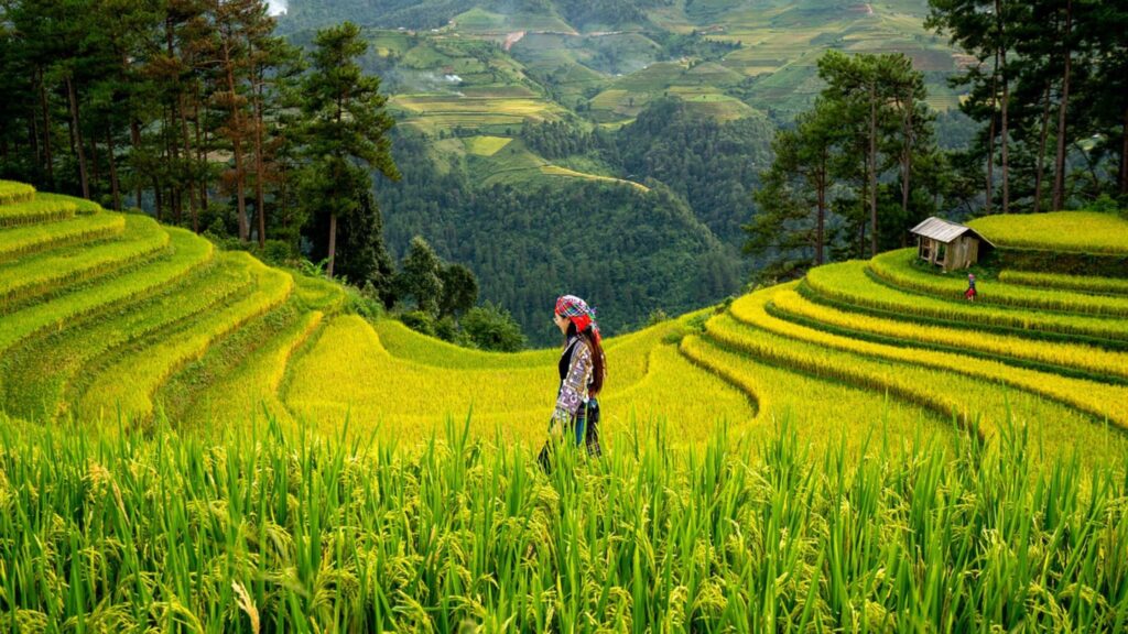 Government Schemes For Farmers: पीएम किसान योजनेसारख्याच ‘या’ 5 योजना शेतकऱ्यांसाठी ठरतील वरदान; प्रत्येक योजनेचा तपशील समजून घ्या. 2 Government Schemes For Farmers