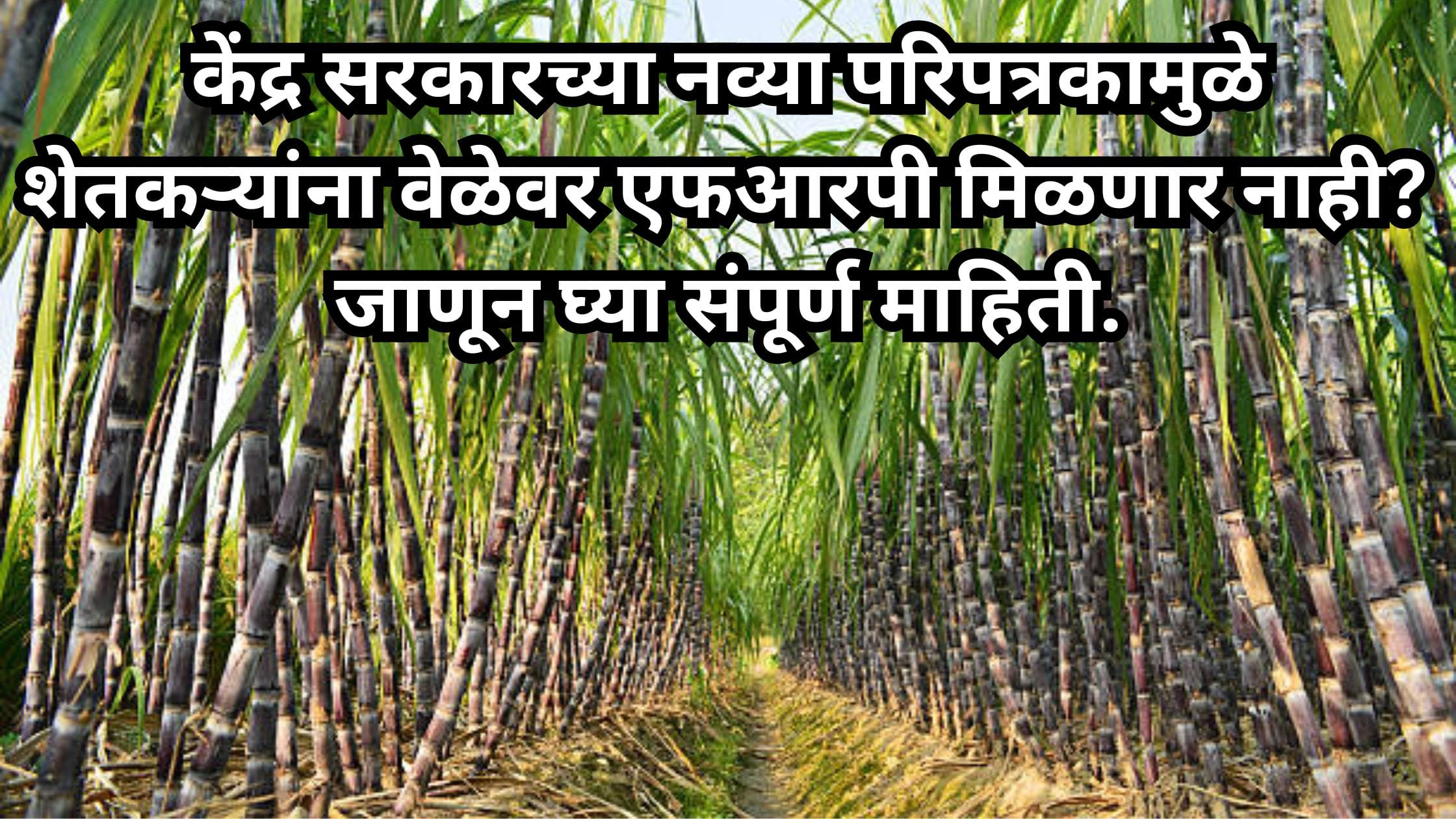 Sugarcane FRP