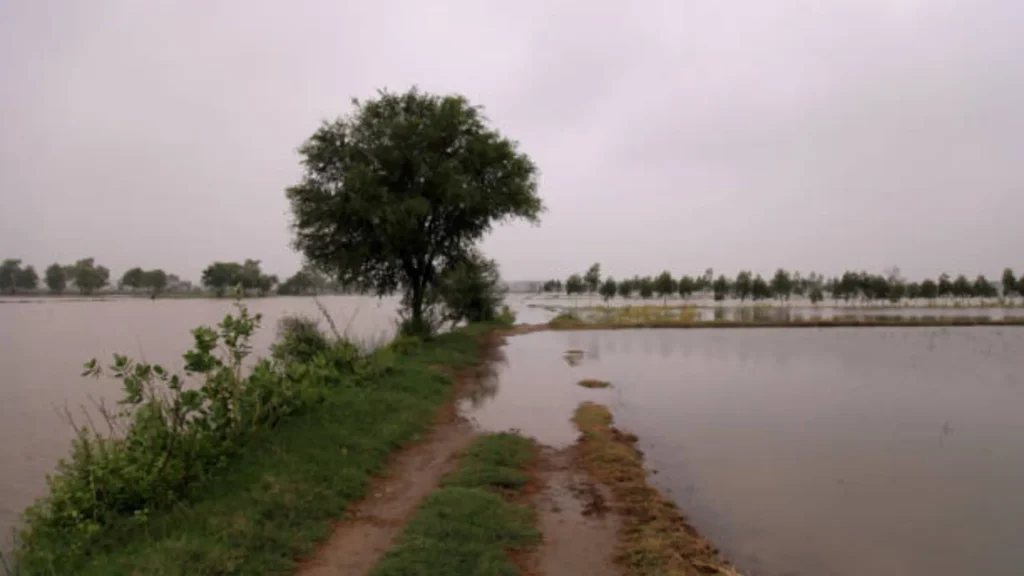 Maharashtra Heavy Rain Alert : राज्यात पुढील दोन दिवस मुसळधार पाऊस? मुंबईसह अनेक जिल्ह्यांत हवामान विभागाचा रेड अलर्ट. 2 Maharashtra Heavy Rain Alert