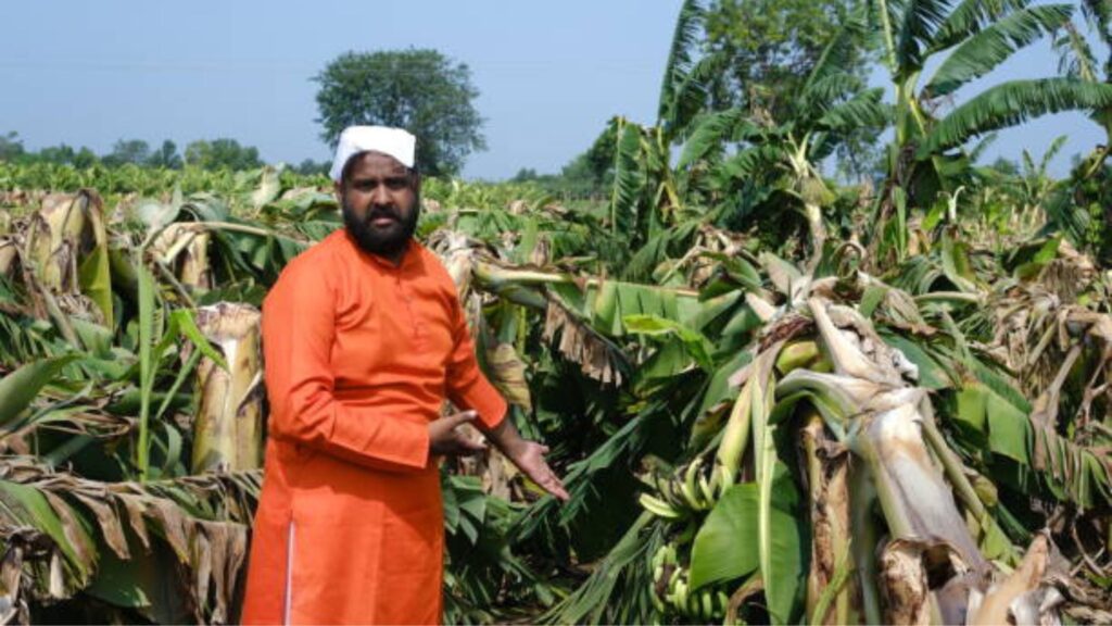 Pik Vima Yojana Update: शेतकऱ्यांसाठी आनंदाची बातमी, पीक विमा अर्ज करण्याची अंतिम तारीख १४ ऑगस्टपर्यंत वाढवली! 2 Pik Vima Yojana Update