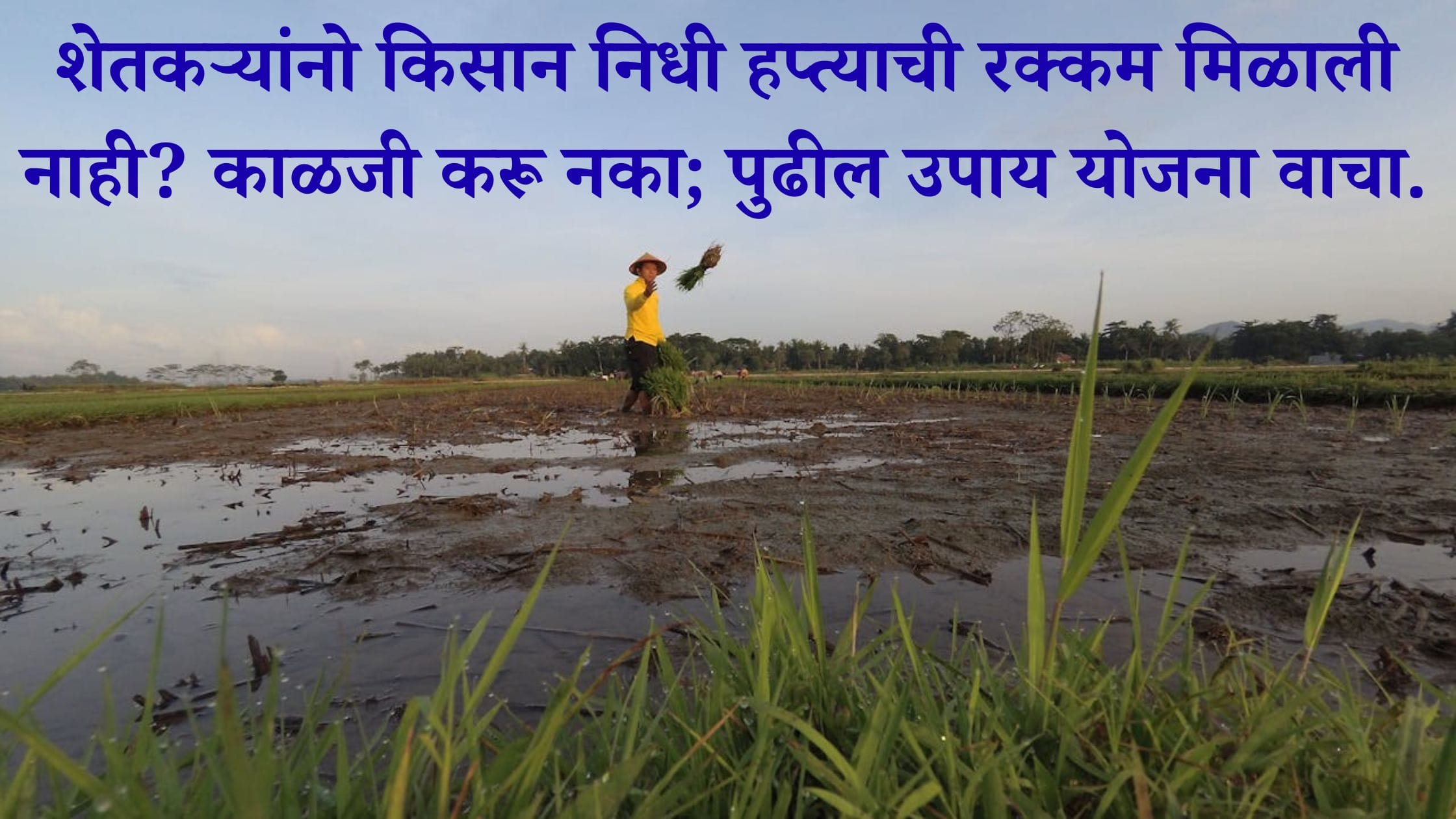 PM Kisan Samman Nidhi 20th Installment