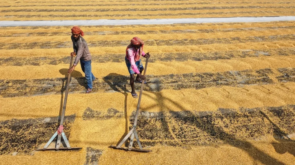 PM Kisan Samman Nidhi 20th Installment: शेतकऱ्यांनो किसान निधी हप्त्याची रक्कम मिळाली नाही? काळजी करू नका; पुढील उपाय योजना वाचा. 2 PM Kisan Samman Nidhi 20th Installment