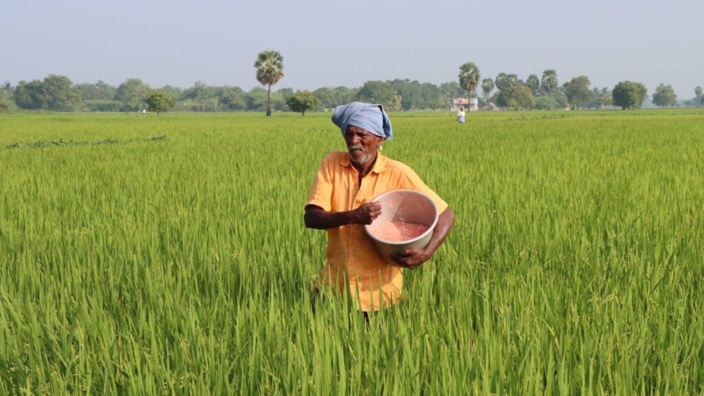 PM Kisan Samman Nidhi 20th Installment: शेतकऱ्यांनो किसान निधी हप्त्याची रक्कम मिळाली नाही? काळजी करू नका; पुढील उपाय योजना वाचा. 3 PM Kisan Samman Nidhi 20th Installment