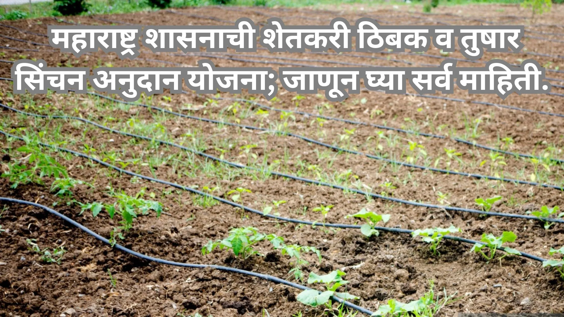 Thibak Sinchan Anudan Yojana