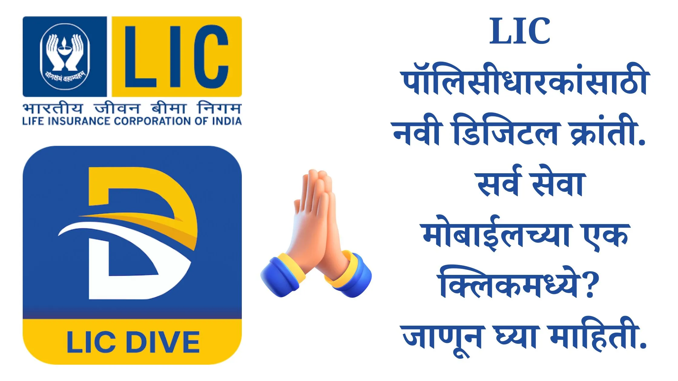 LIC DIVE App