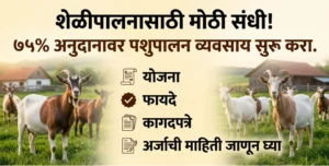 Sheli palan anudan yojana